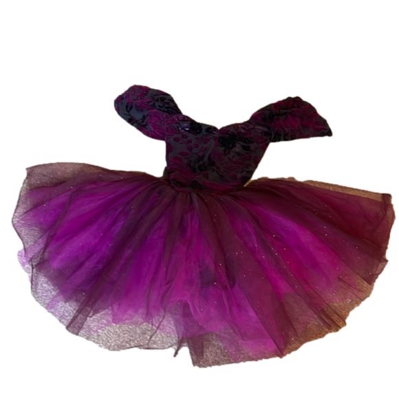 Weissman Dance dress - SA - Picture 1 of 6